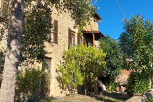 Das Haus